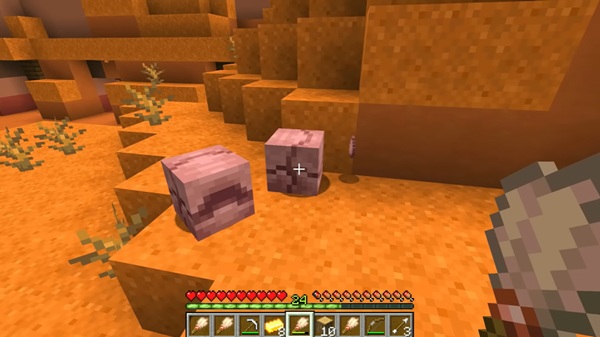 minecraft 1.21.113 apk free